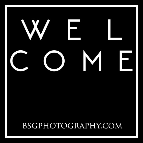 Welcome_bsgphotography_knoxvilleweddingphotography_kidsphotographyknoxvilletn-commercialphotography-knoxvilletn